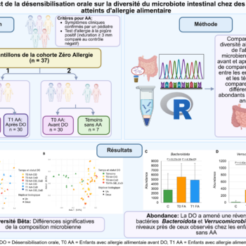 Graphical abstract Thanina_francais_11-08-2025